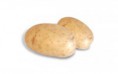 /album/a-nossa-quinta/batata-branca-jpg1/